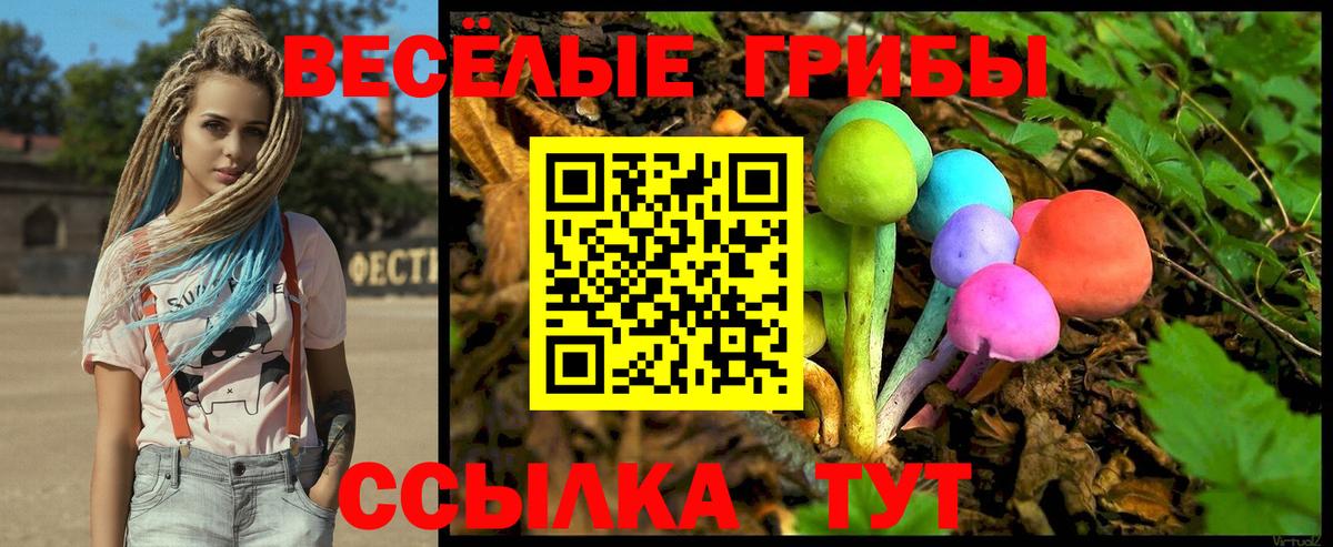 Зерноград  Псилоцибиновые грибы мухоморы  Псилоцибиновые грибы Psilocybine cubensis  Вход с VPN 
