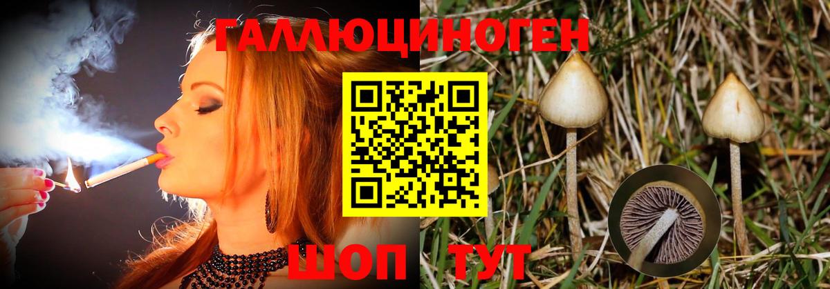 Галлюциногенные грибы мицелий Зерноград